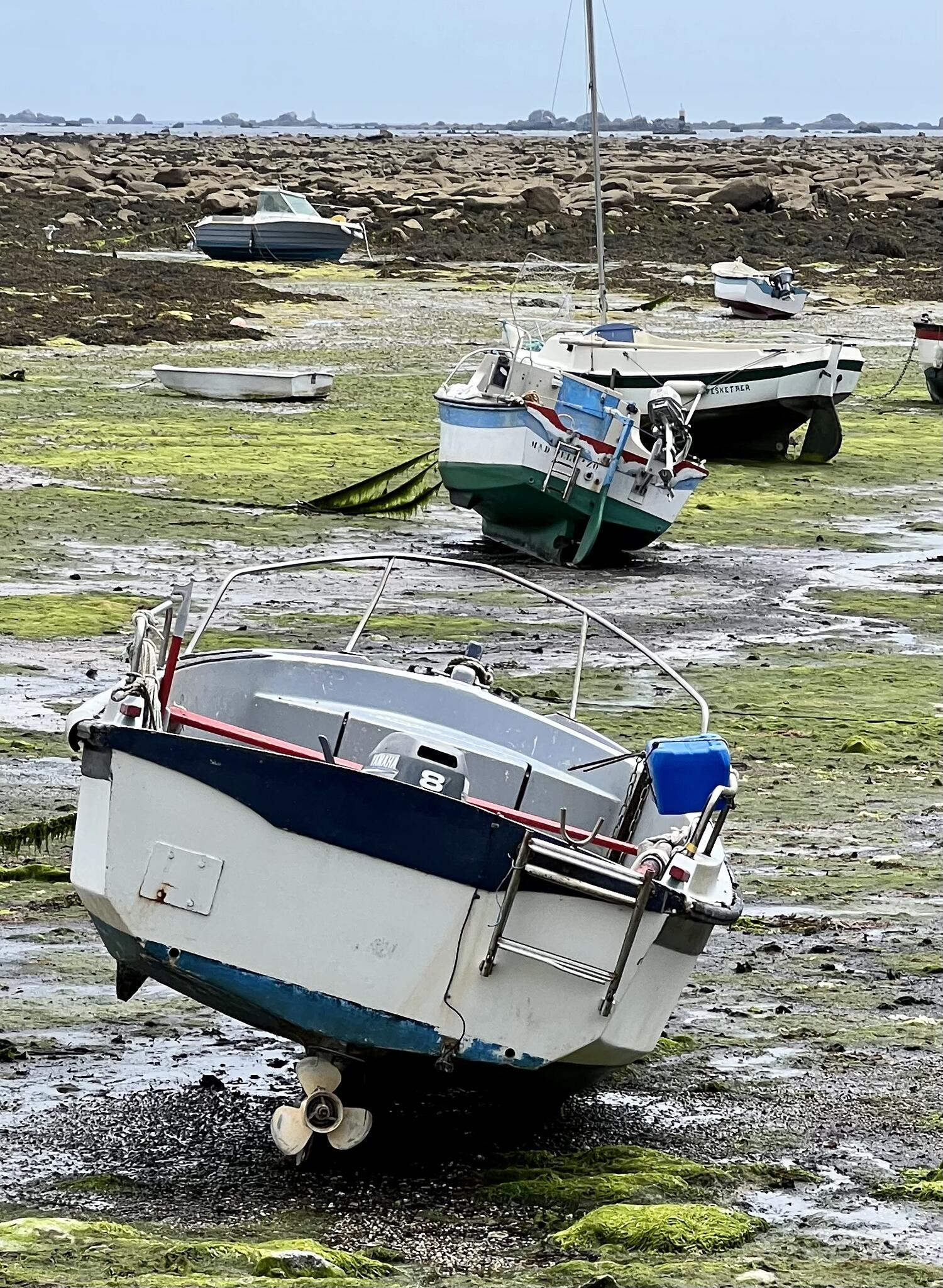 Penmarc'h & St Guénolé